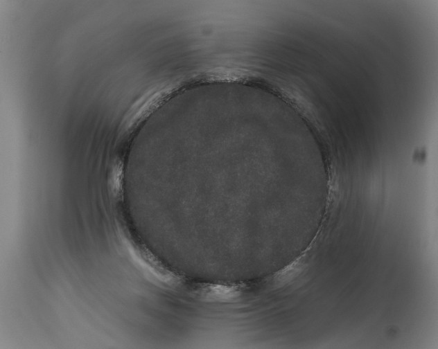 X0000115120166200911171336