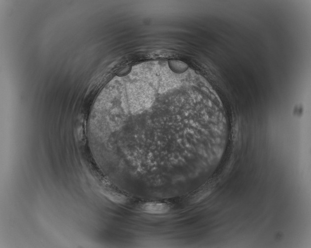 X0000115120169200911171336