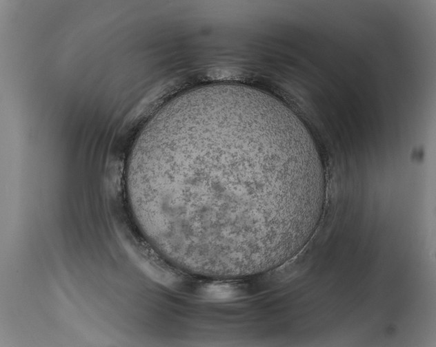 X0000115120171200911171336