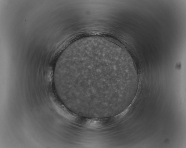 X0000115120174200911171336