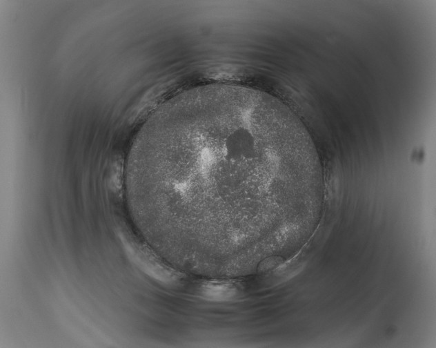 X0000115120175200911171336
