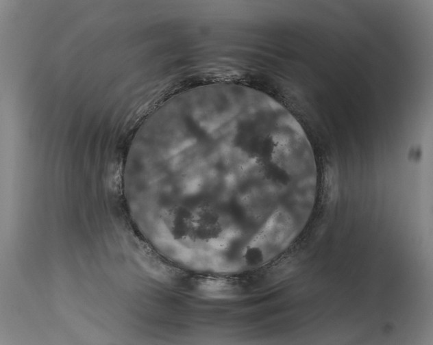 X0000115120177200911171336