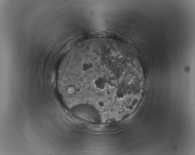 X0000115120178200911171336