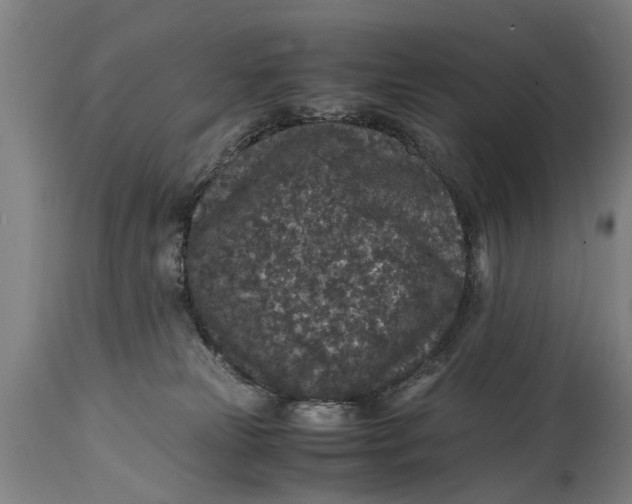 X0000115120181200911171337