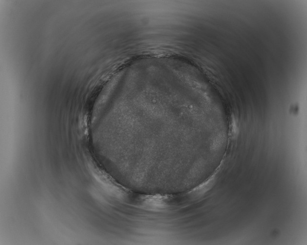 X0000115120182200911171337