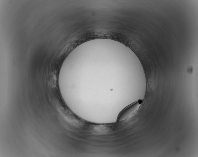X0000115120183200911171337