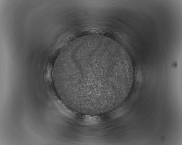 X0000115120185200911171337