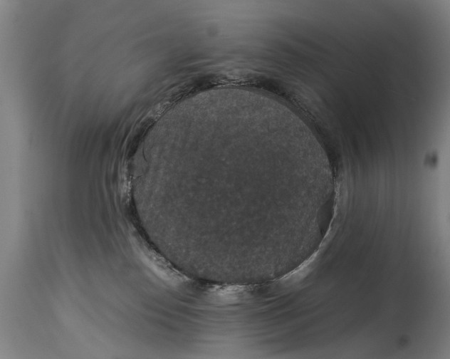 X0000115120186200911171337