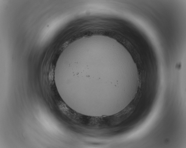 X0000115120190200911171337