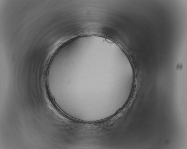X0000115120193200911171336