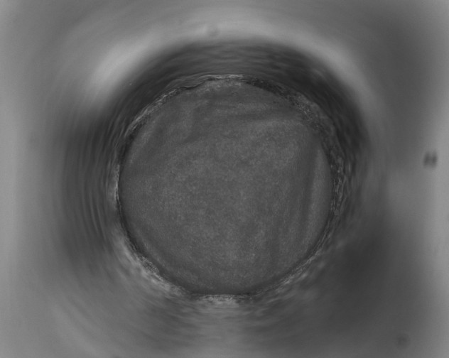 X0000115120194200911171336