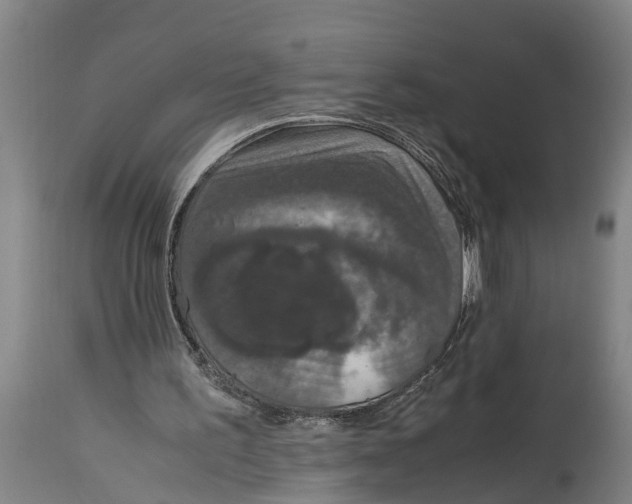 X0000115120195200911171336