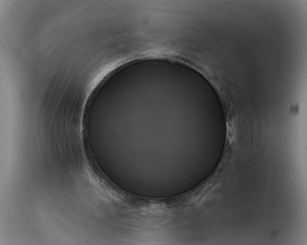 X0000115120196200911171336