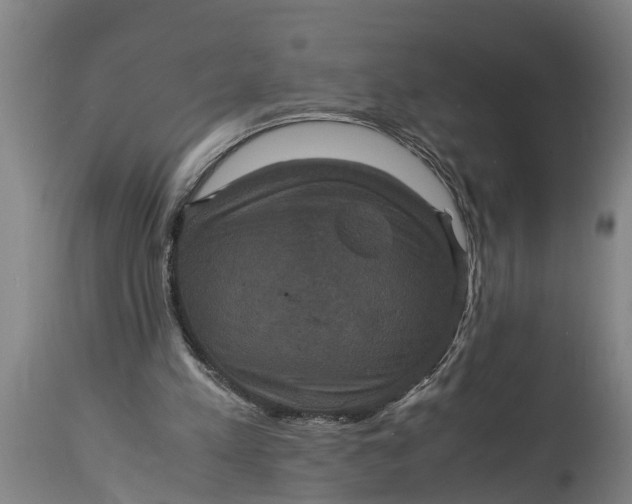 X0000115120197200911171336