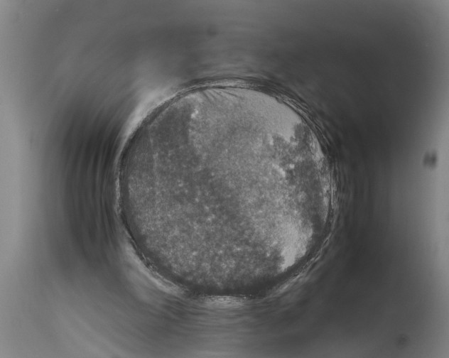 X0000115120198200911171336