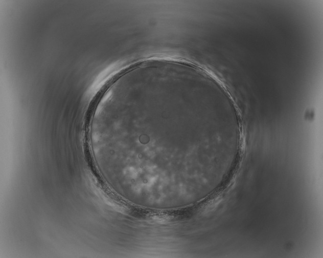 X0000115120199200911171336
