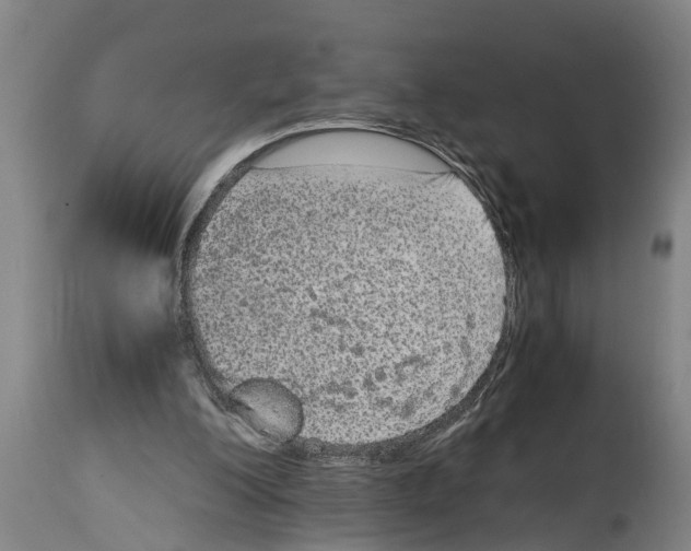 X0000115120200200911171336