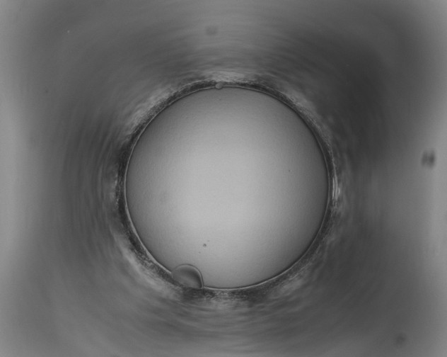 X0000115120201200911171336