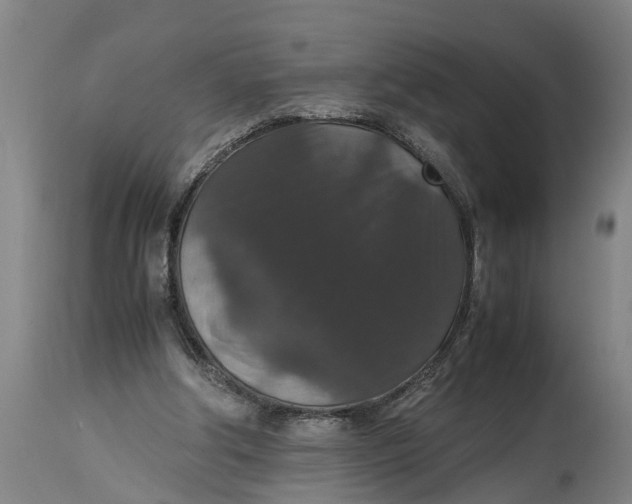 X0000115120202200911171336