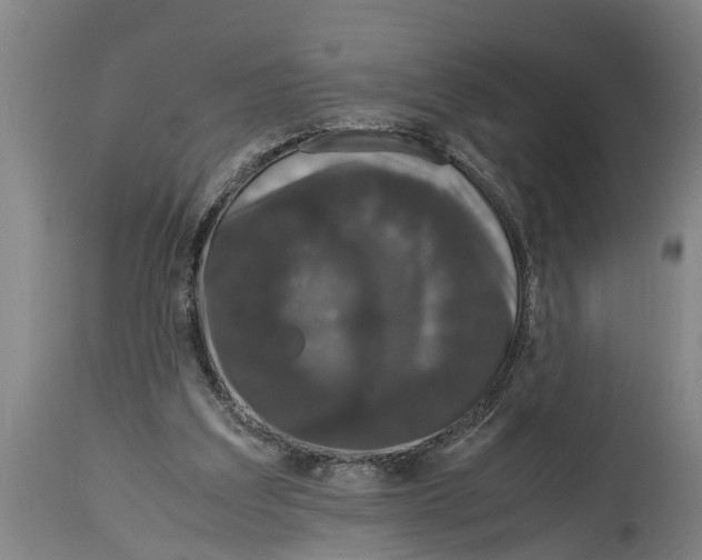 X0000115120203200911171336