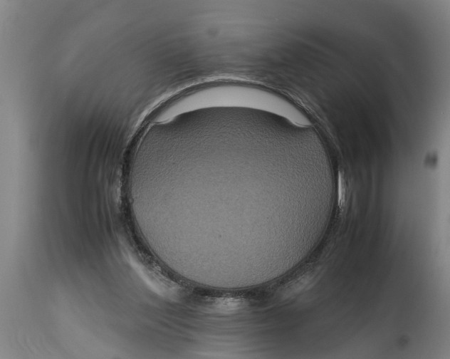 X0000115120204200911171336