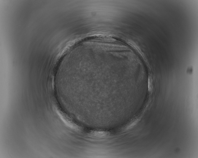 X0000115120205200911171336