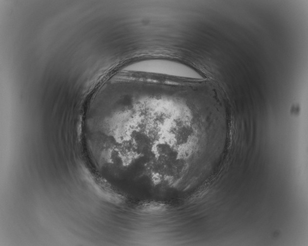 X0000115120206200911171336