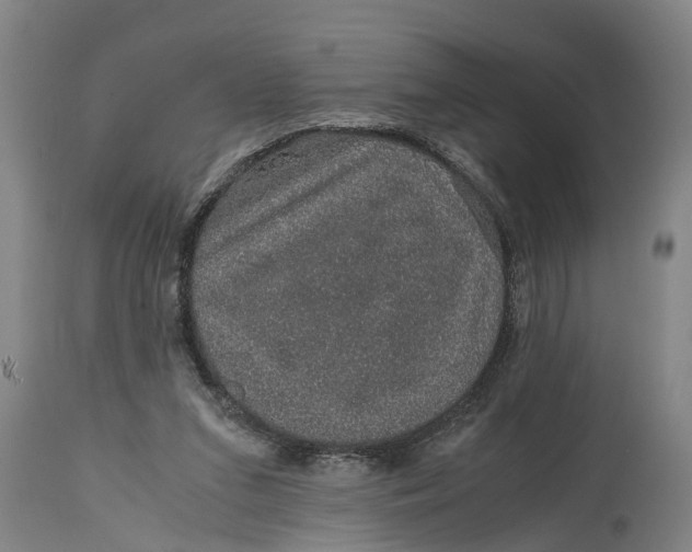 X0000115120207200911171336