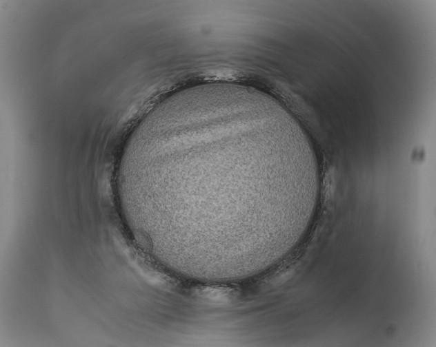 X0000115120209200911171336