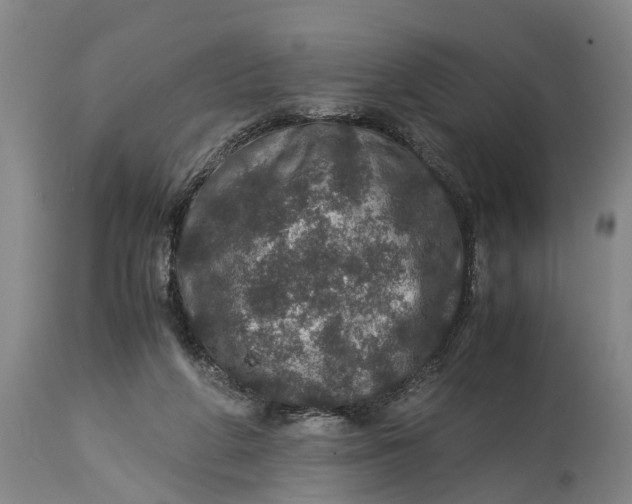 X0000115120210200911171336
