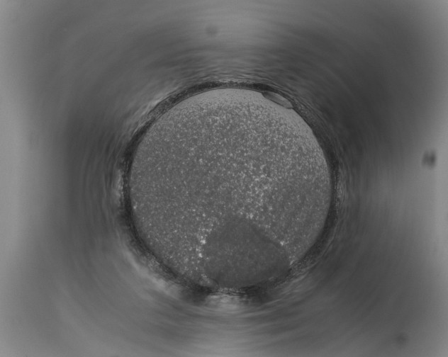 X0000115120211200911171336