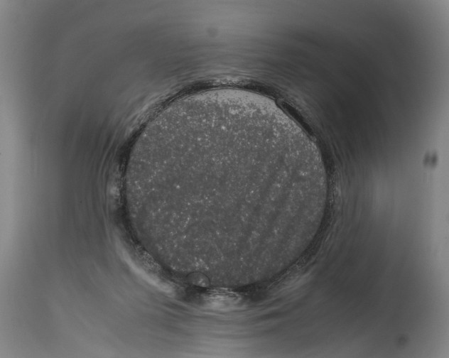 X0000115120215200911171336