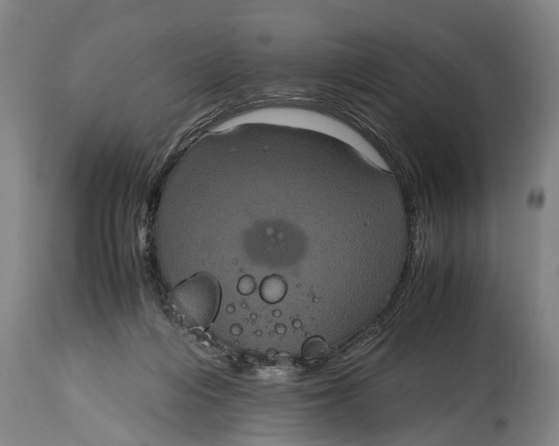 X0000115120216200911171336