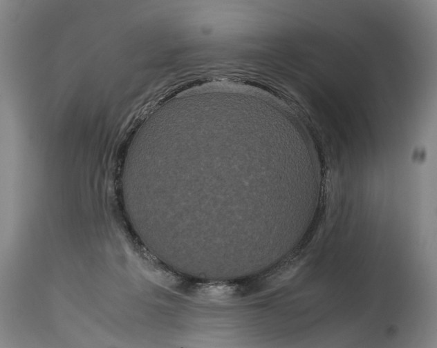 X0000115120217200911171336