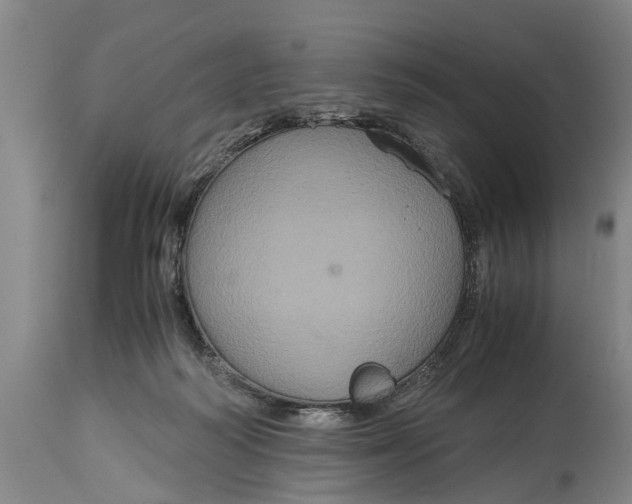 X0000115120218200911171335