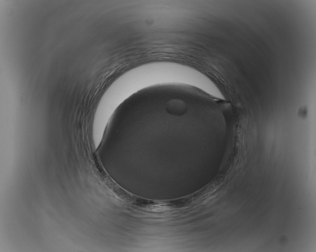 X0000115120219200911171335