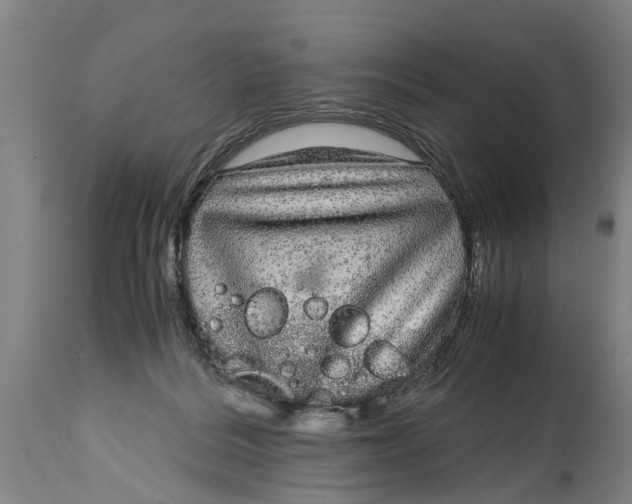 X0000115120220200911171335