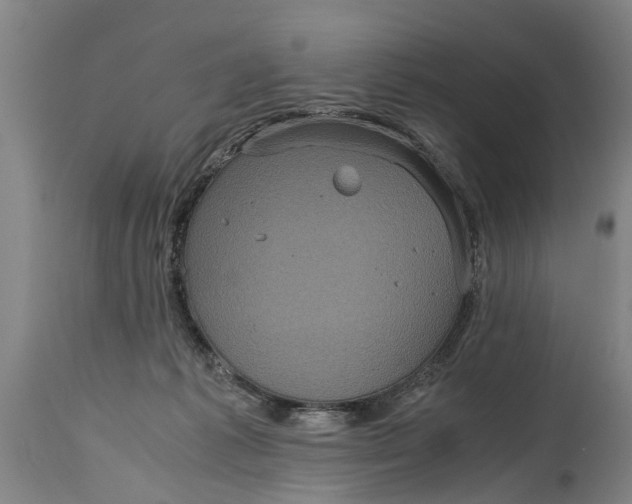 X0000115120221200911171335