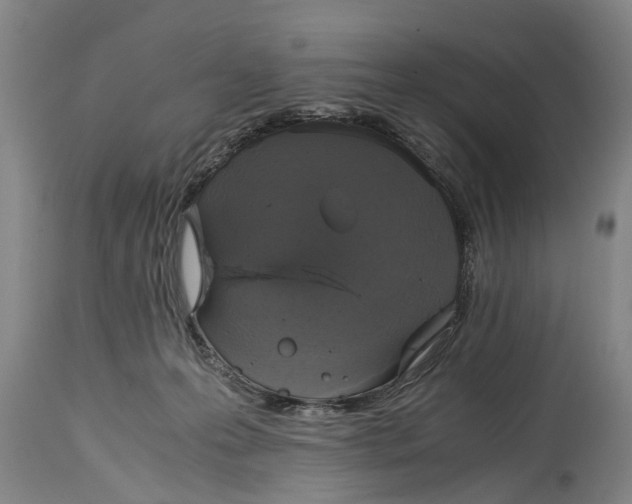 X0000115120223200911171335