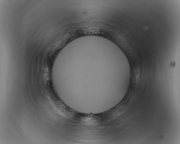 X0000115120224200911171335