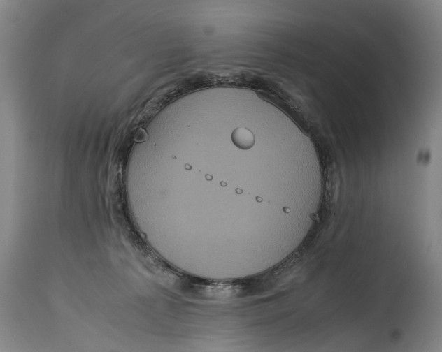 X0000115120225200911171335