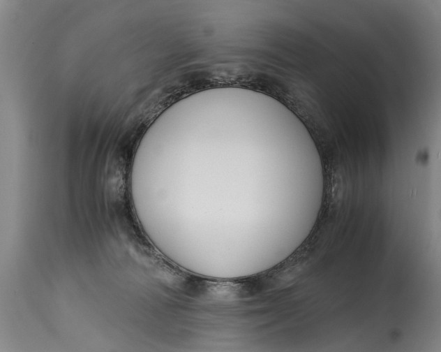X0000115120226200911171335