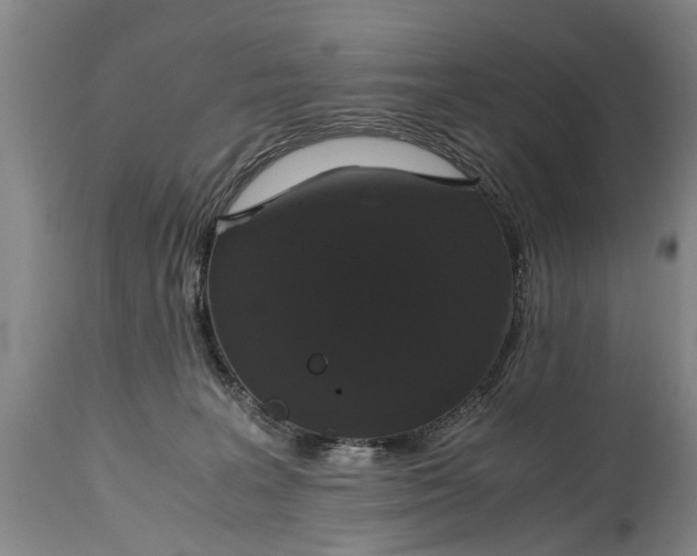 X0000115120227200911171335