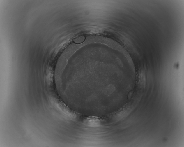 X0000115120228200911171335