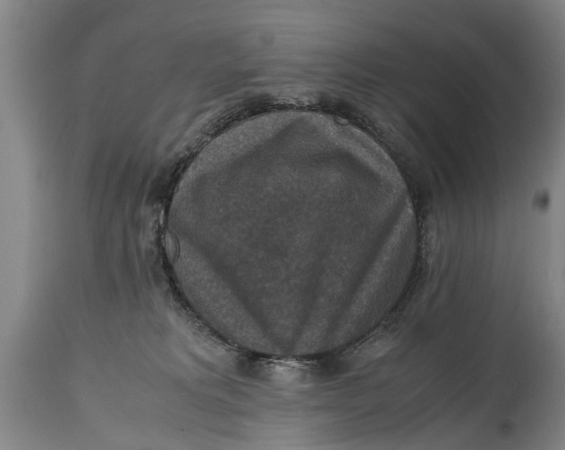 X0000115120229200911171335
