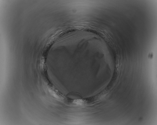 X0000115120231200911171335