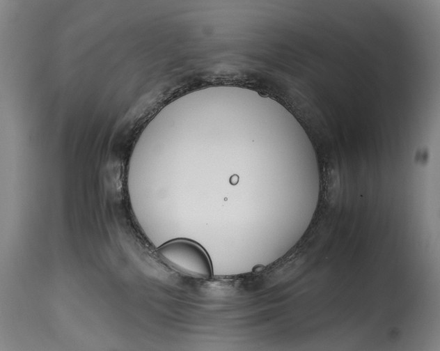 X0000115120232200911171335
