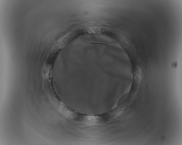 X0000115120233200911171335