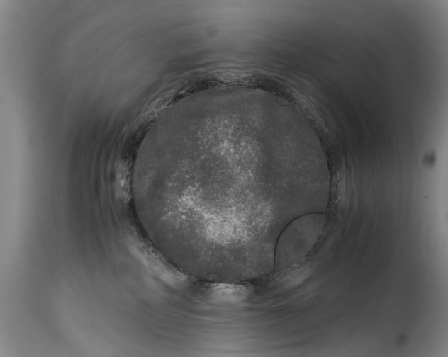 X0000115120234200911171335