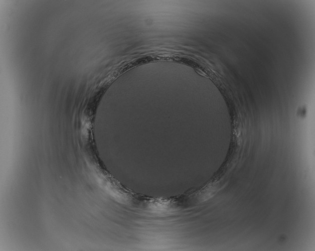 X0000115120235200911171335